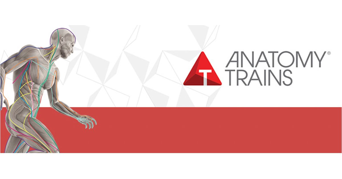 Anatomy Trains in Structure and Function logo featuring a man running.